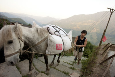 Farmer and horse (China)