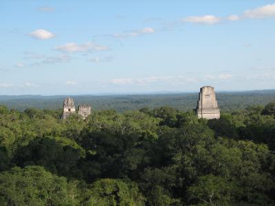 View from Top