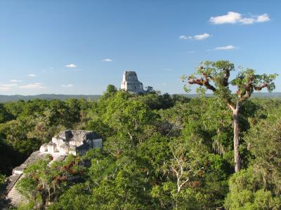 View from El Mundo Perdido, Tikal