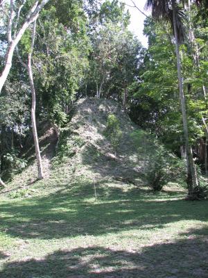 Typical Unexcavated Mound