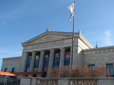 Shedd Aquarium