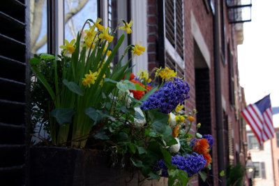 More window boxes
