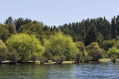 quilaquina02