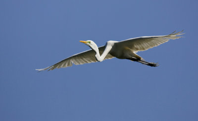 garza251107.jpg
