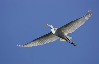 garza251107_2.jpg