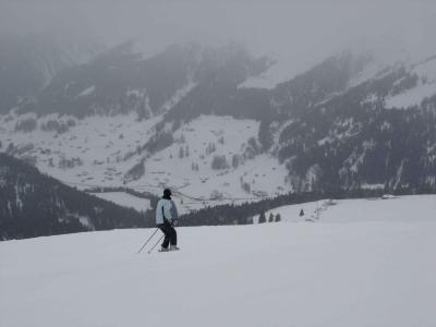 the new skier