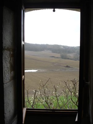 DSC00096-2.jpg