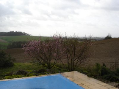 DSC00119-2.jpg
