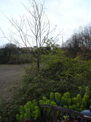 DSC00124-2.jpg