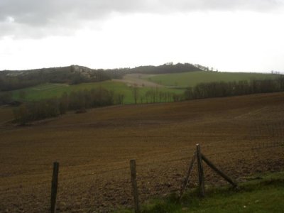 DSC00142-2.jpg