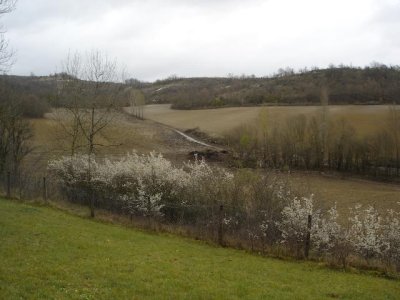 DSC00157-2.jpg