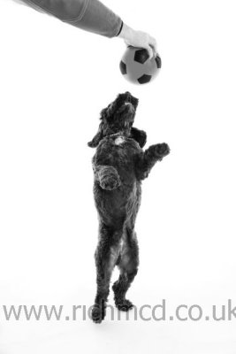 IMG_6547bw.JPG