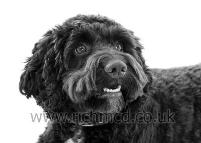 IMG_6554bw.JPG