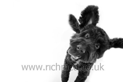 IMG_6565bw.JPG