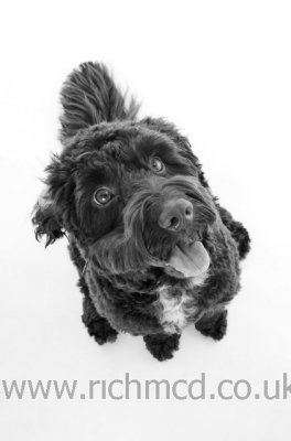 IMG_6569bw.JPG