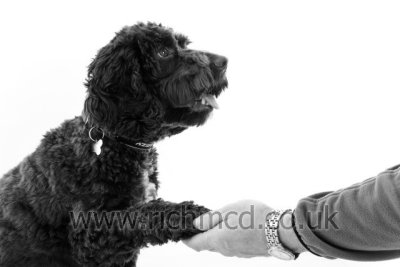 IMG_6573bw.JPG