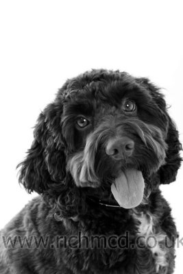 IMG_6594bw.JPG