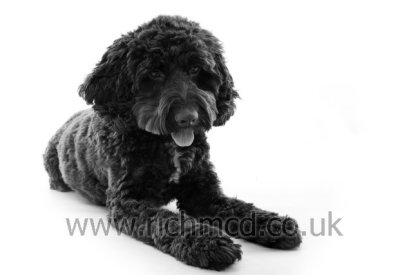 IMG_6597bw.JPG