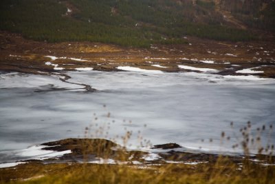 IMG_6618.JPG