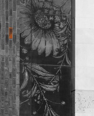 _MG_0799bw.JPG