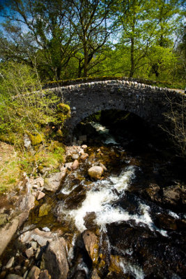 Stone Bridge.jpg