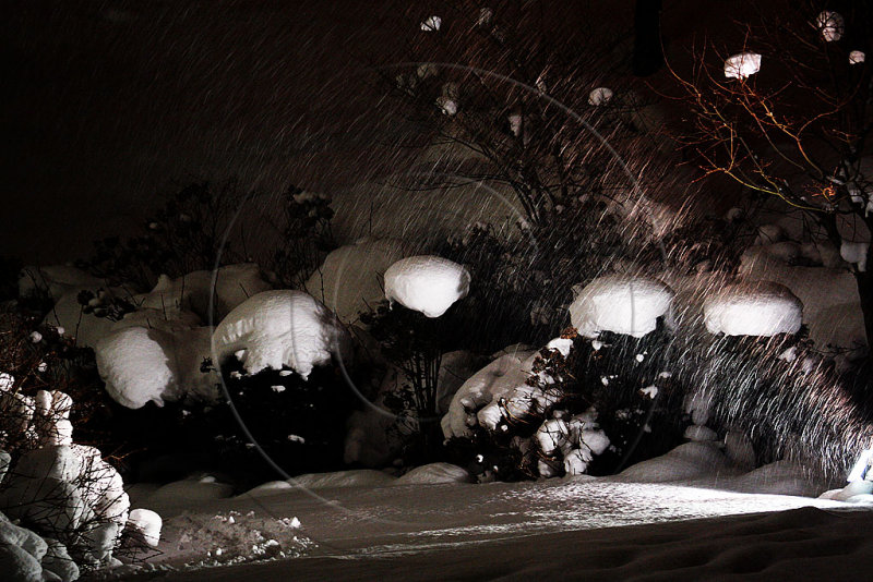 Winter In Hokkaido (Dec 09)