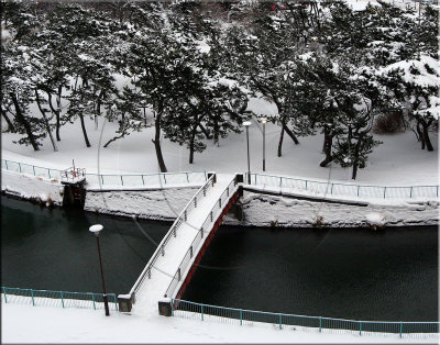 Winter In Hokkaido (Dec 09)