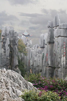 Utah Has The Bryce Canyon; Yunnan Has The Stone Forest ... (Dec 05)