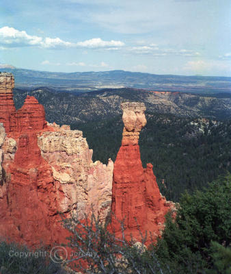 Thor's Hammer, Bryce Canyon (Apr 92)