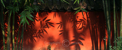 Shadows on the Red Wall (Aug 06)