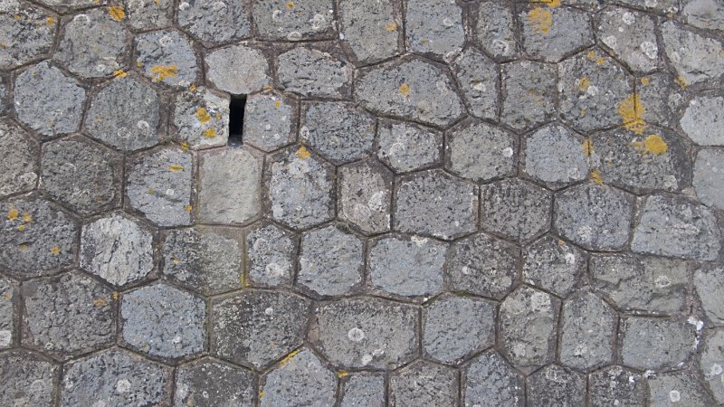 Wall