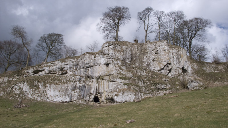 Wolfscote Dale and grand trees