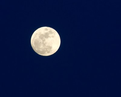 Full moon