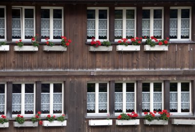 Swiss window boxes