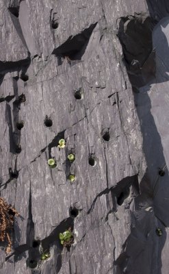 Slate quarries drill holes