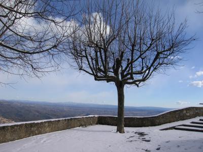 Trees and view from belvedere, above Berga