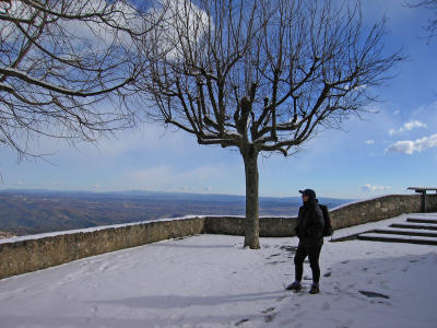 Belvedere and tree above Berga