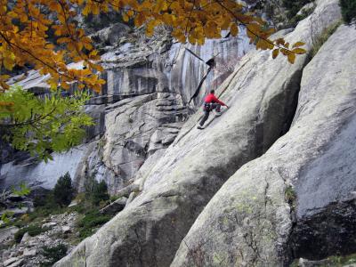 Pyreenean granite, Gente with leaves