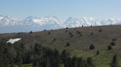 Pyrenees beyond ridge.jpg