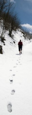 Snowy road walk tall