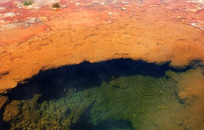 Morning Glory Pool 1