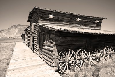 Rustic Building