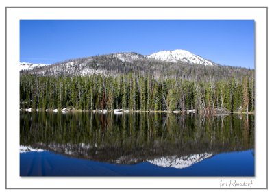Reflection on Silvan