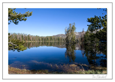 Yellowstone Serenity