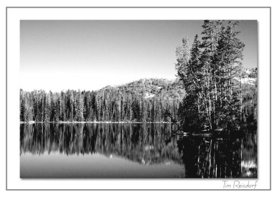 Yellowstone Unleashed