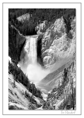 Yellowstone Falls