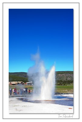 Geyser at Yellowstone