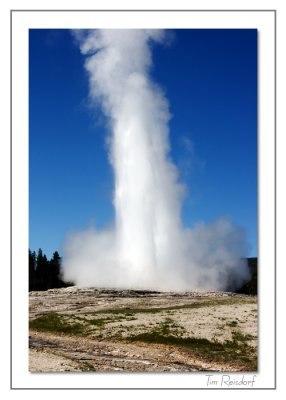 Old Faithful