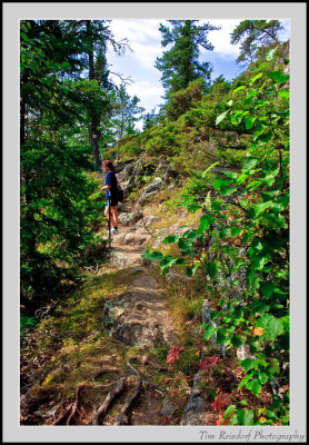 Path to Luther Point - Lake of the Woods