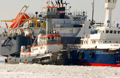 Frozen Ships